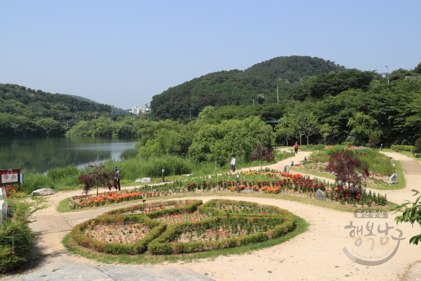 선암호수공원(꽃의정원,반영) 의 사진