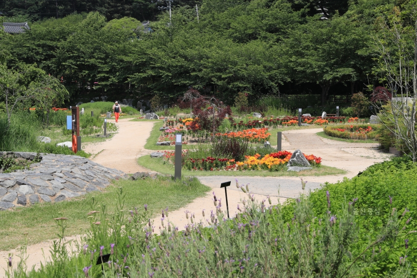선암호수공원(꽃의정원,반영) 의 사진