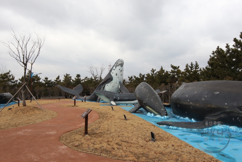 고래문화마을, 고래박물관 전경 의 사진