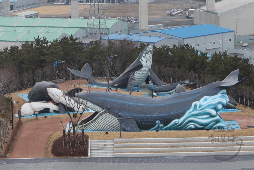 고래문화마을, 고래박물관 전경 의 사진