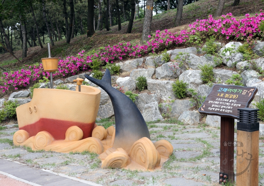 장생포고래문화마을 의 사진