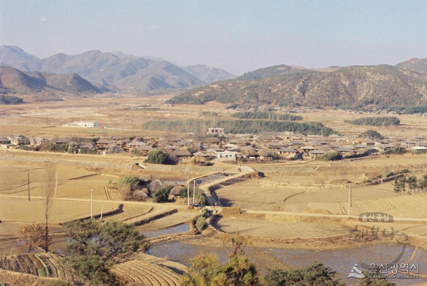 1977년 삼호마을 전경 의 사진