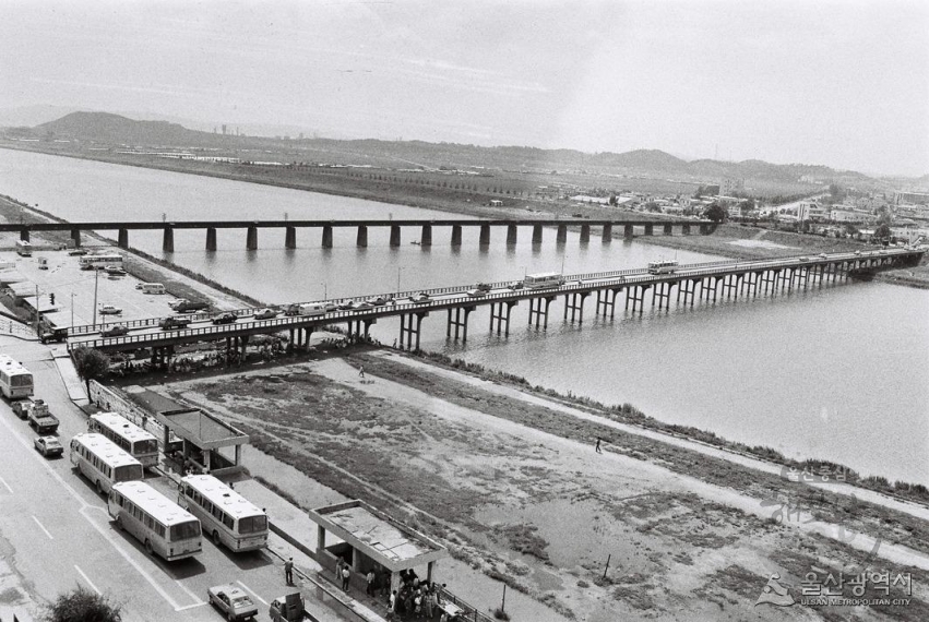 1987년 태화강 전경 의 사진