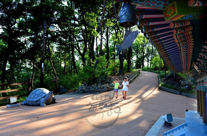 [동상]안민사의 풍경 - 박혜란 의 사진