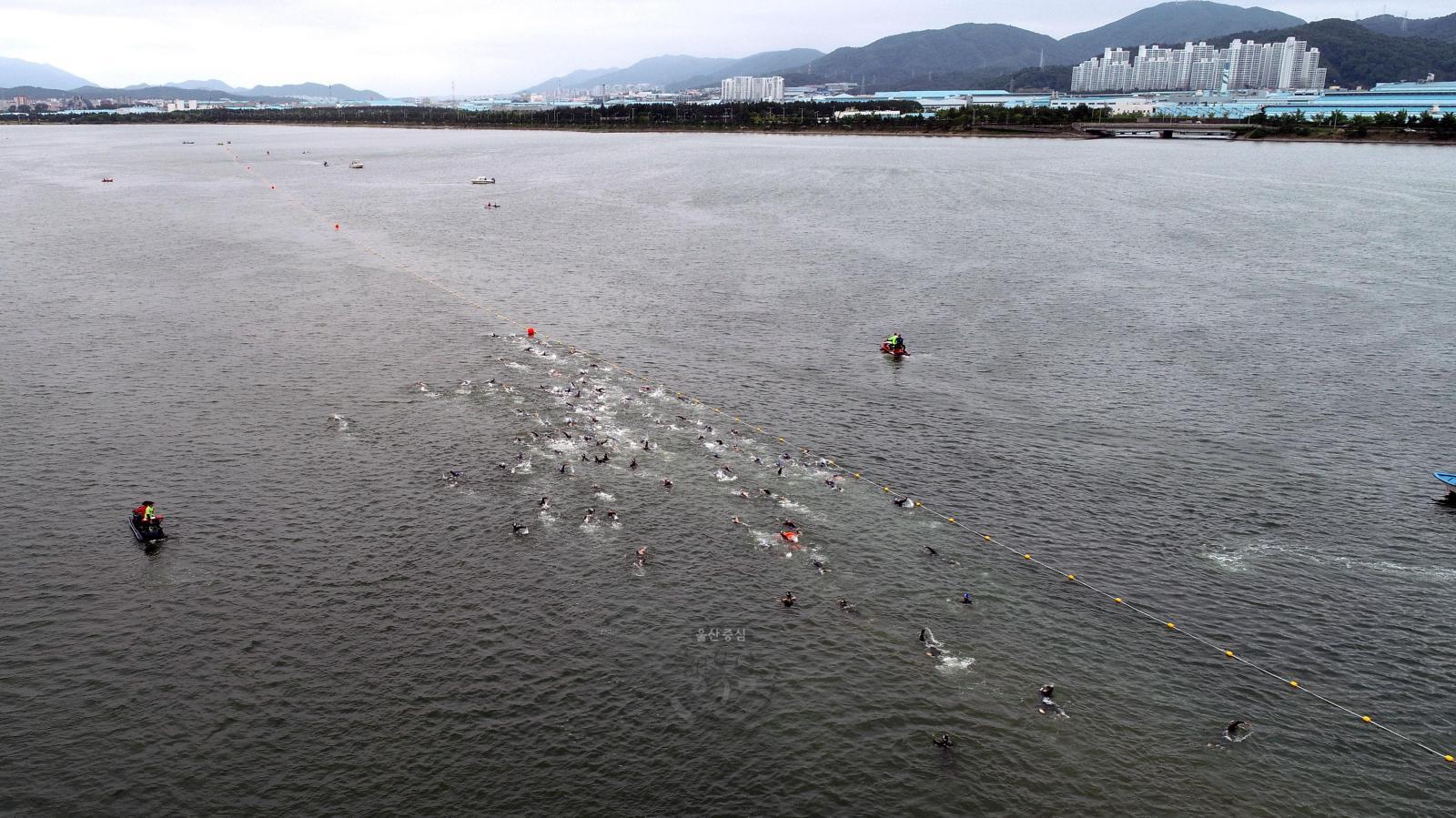 2019 남구청장배 태화강 전국수영대회 의 사진