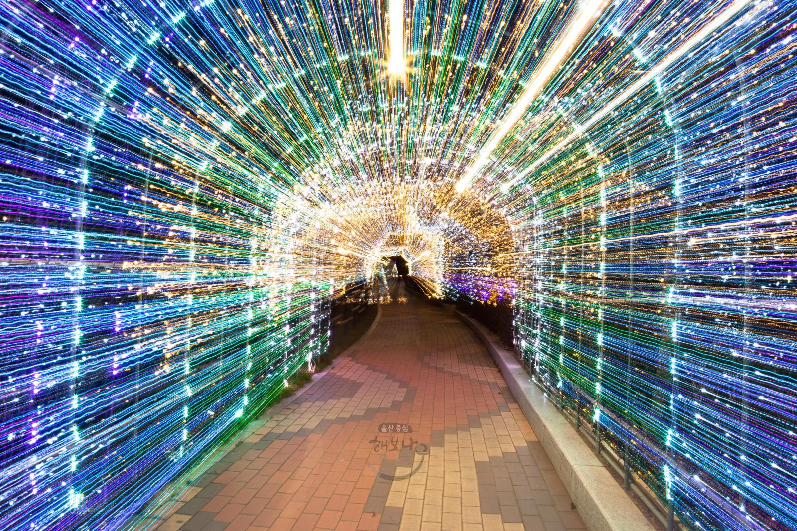 [입선] 환상 터널 - 김락현 의 사진
