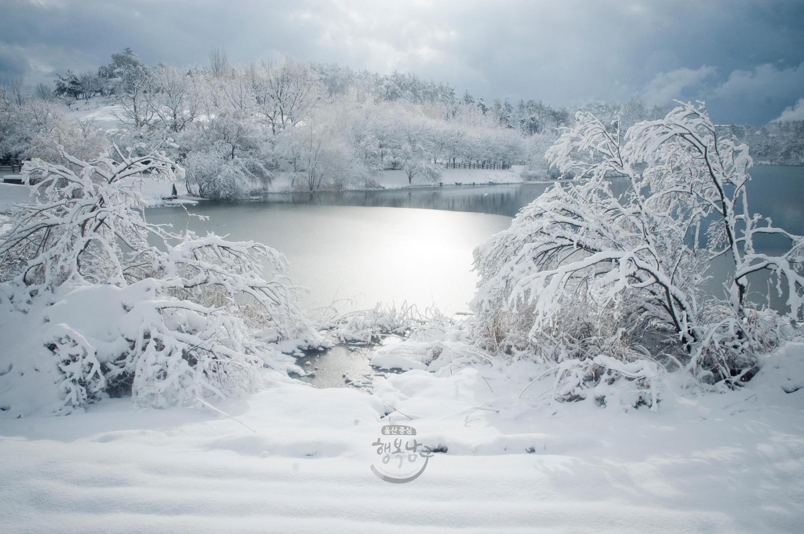[입선] 겨울선암호수공원(3) - 김홍태 의 사진