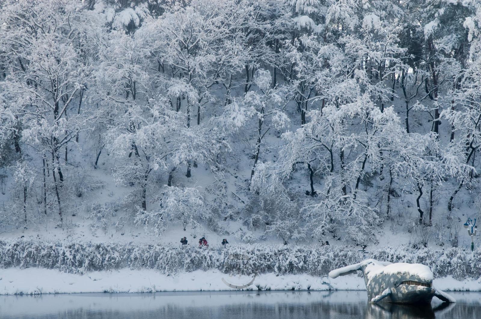 [입선] 겨울선암호수공원(5) - 김홍태 의 사진