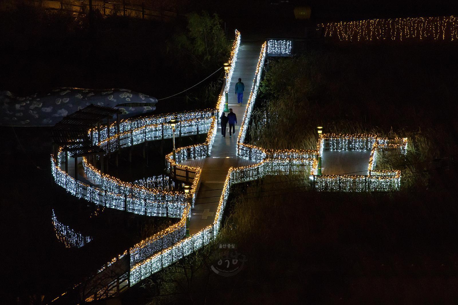 [입선] 호수공원의 겨울밤 - 손수봉 의 사진