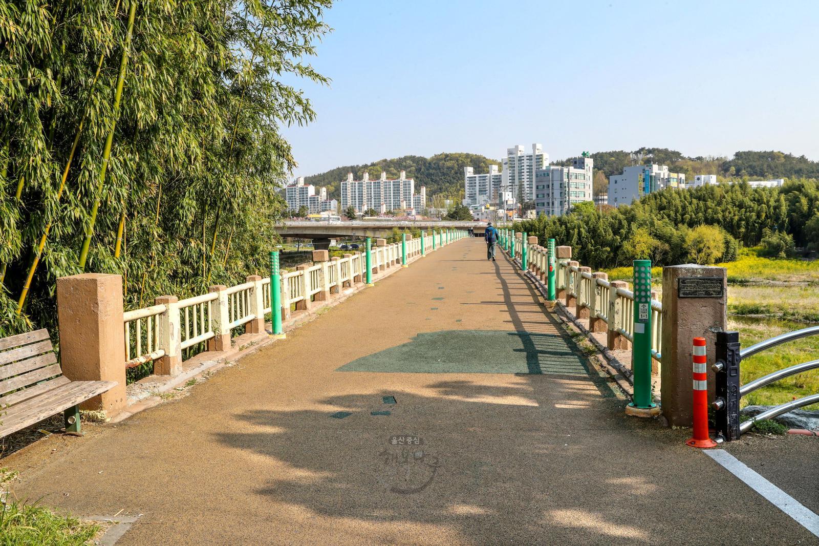 구 삼호교(대한민국 근대문화유산) 의 사진