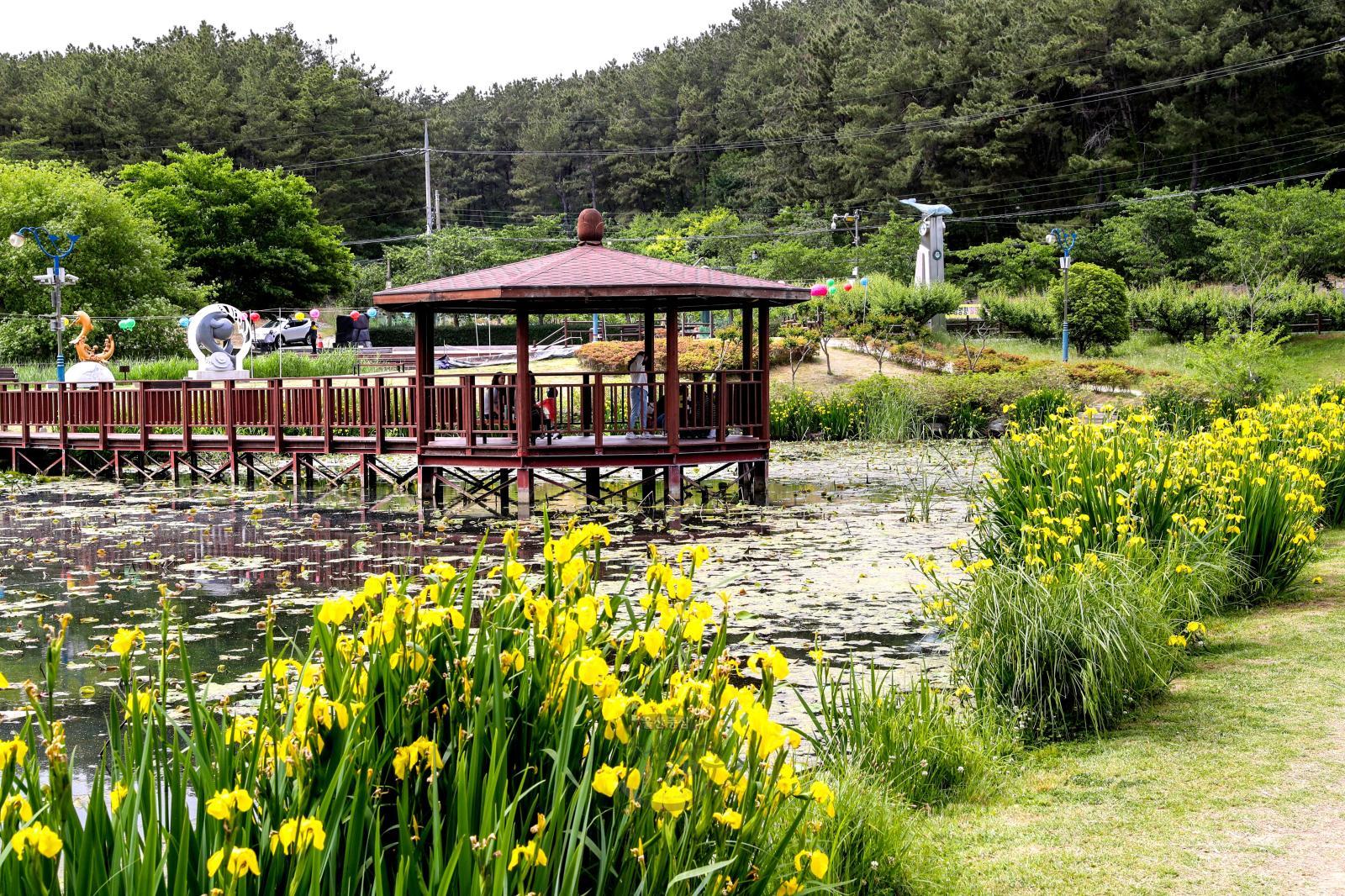 선암호수공원 제2연꽃지 의 사진