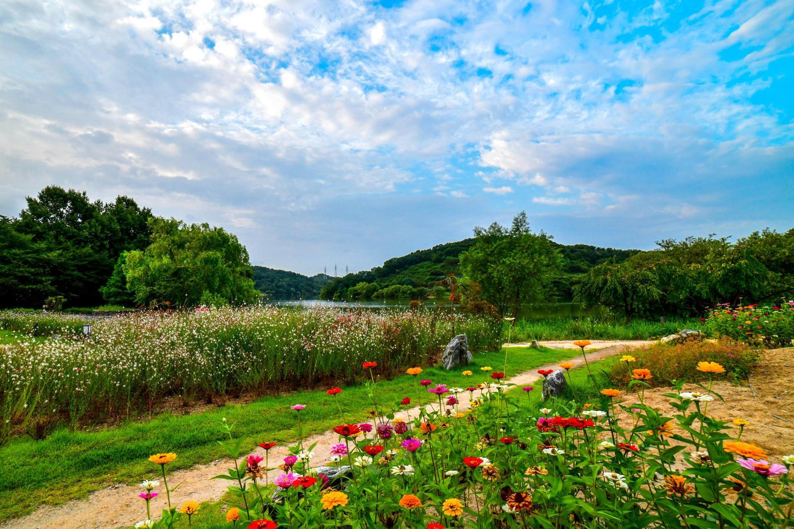선암호수공원 (꽃의정원) 의 사진