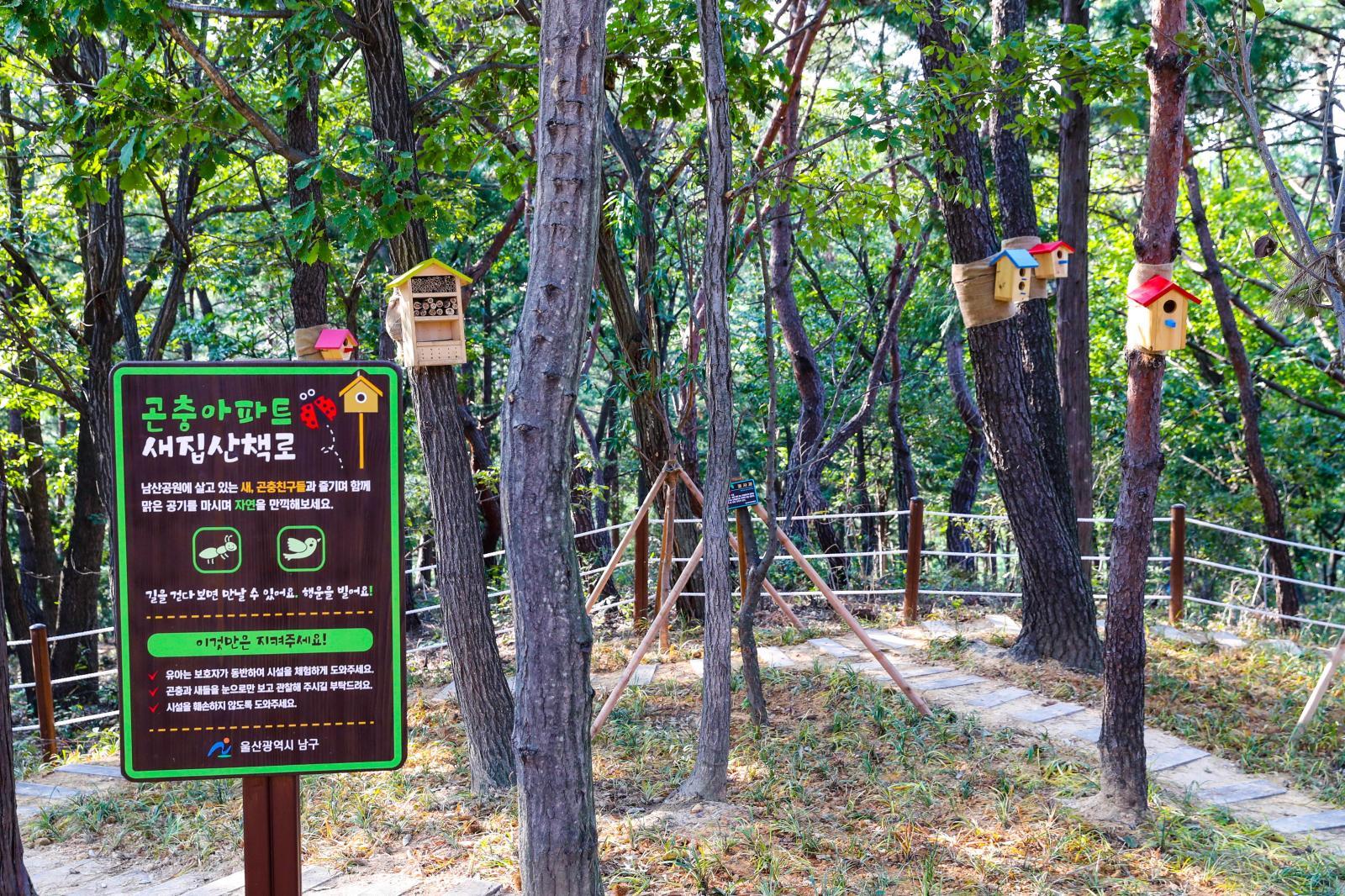 남산 유아숲 체험원 의 사진