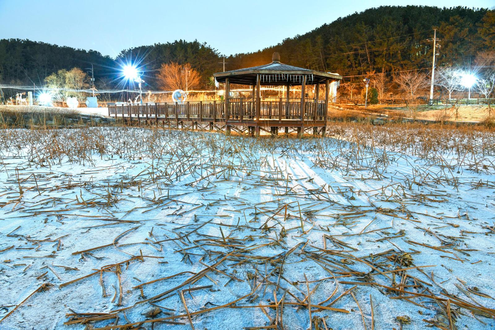 첫눈 내린 선암호수공원 의 사진