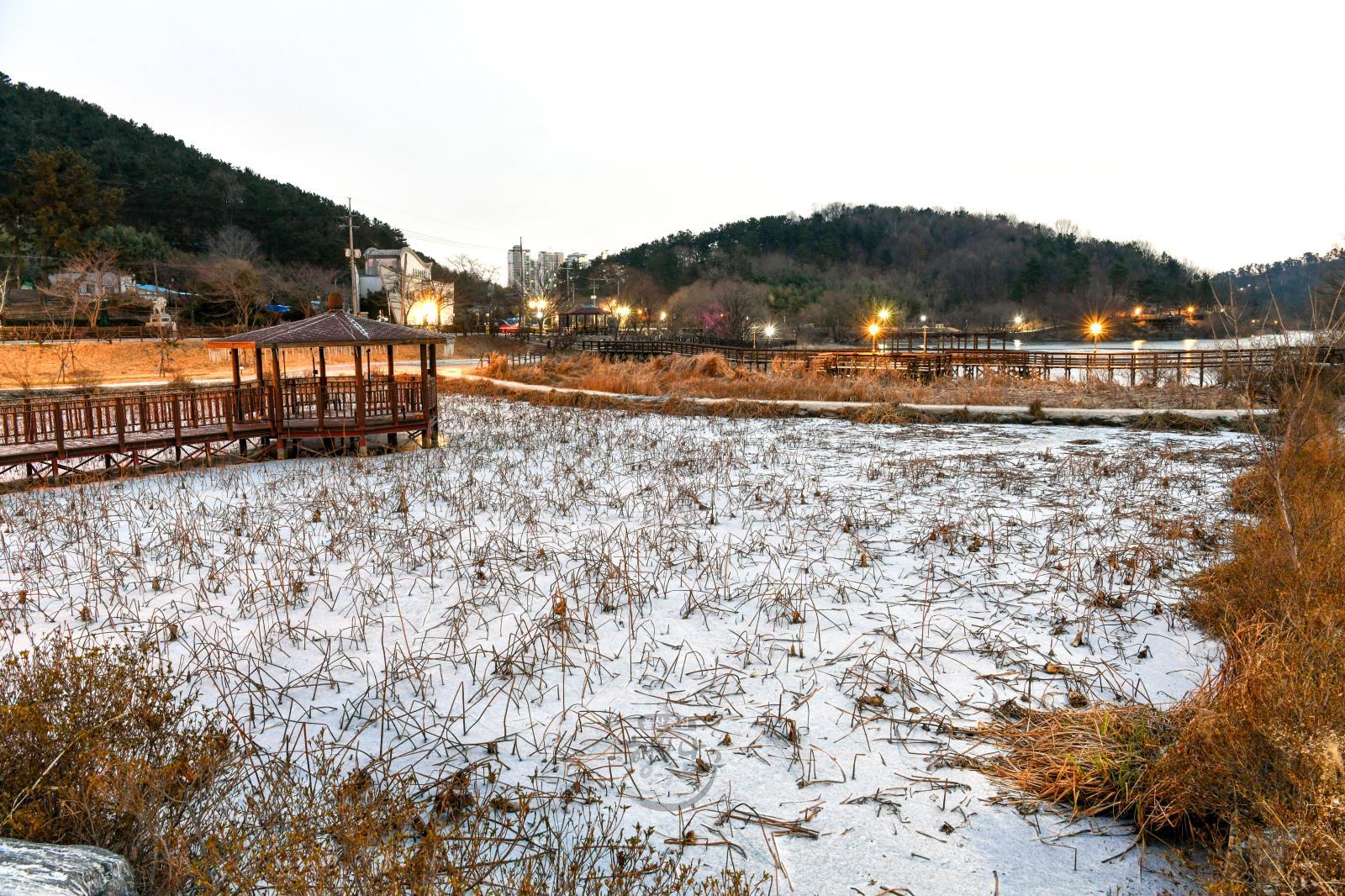 첫눈 내린 선암호수공원 의 사진