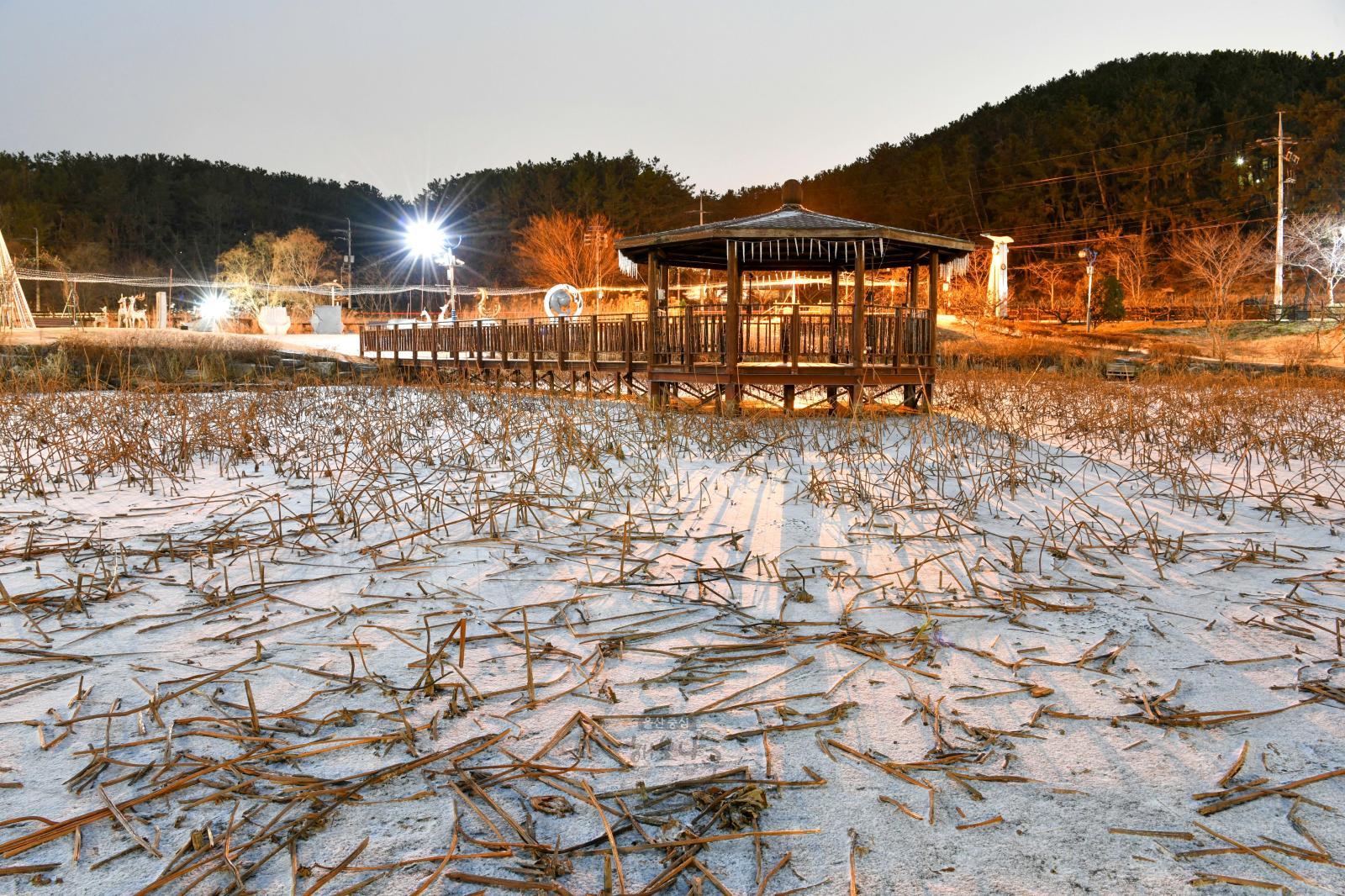 첫눈 내린 선암호수공원 의 사진