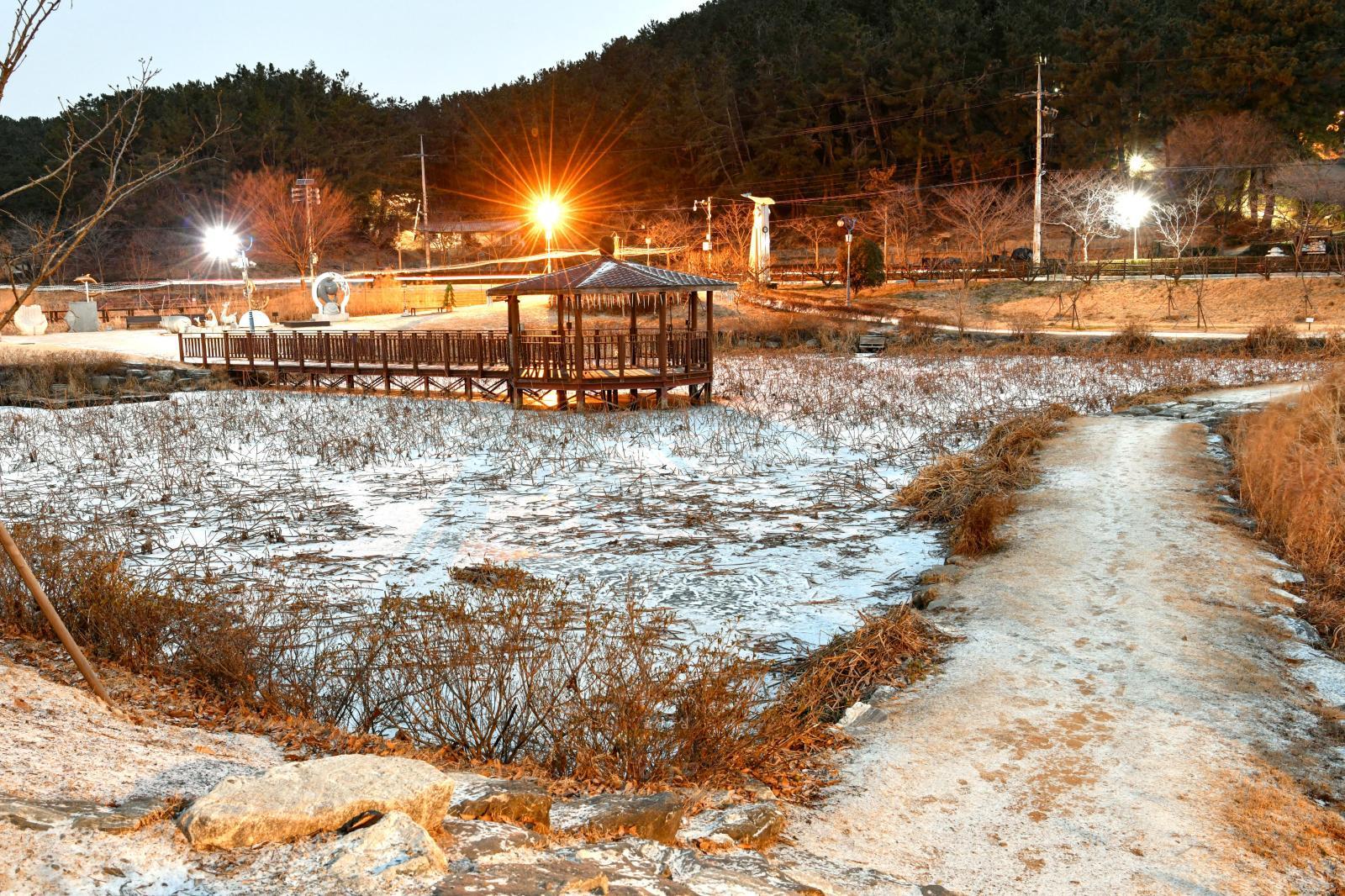 첫눈 내린 선암호수공원 의 사진