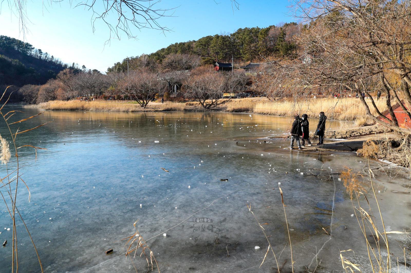 선암호수 결빙 의 사진