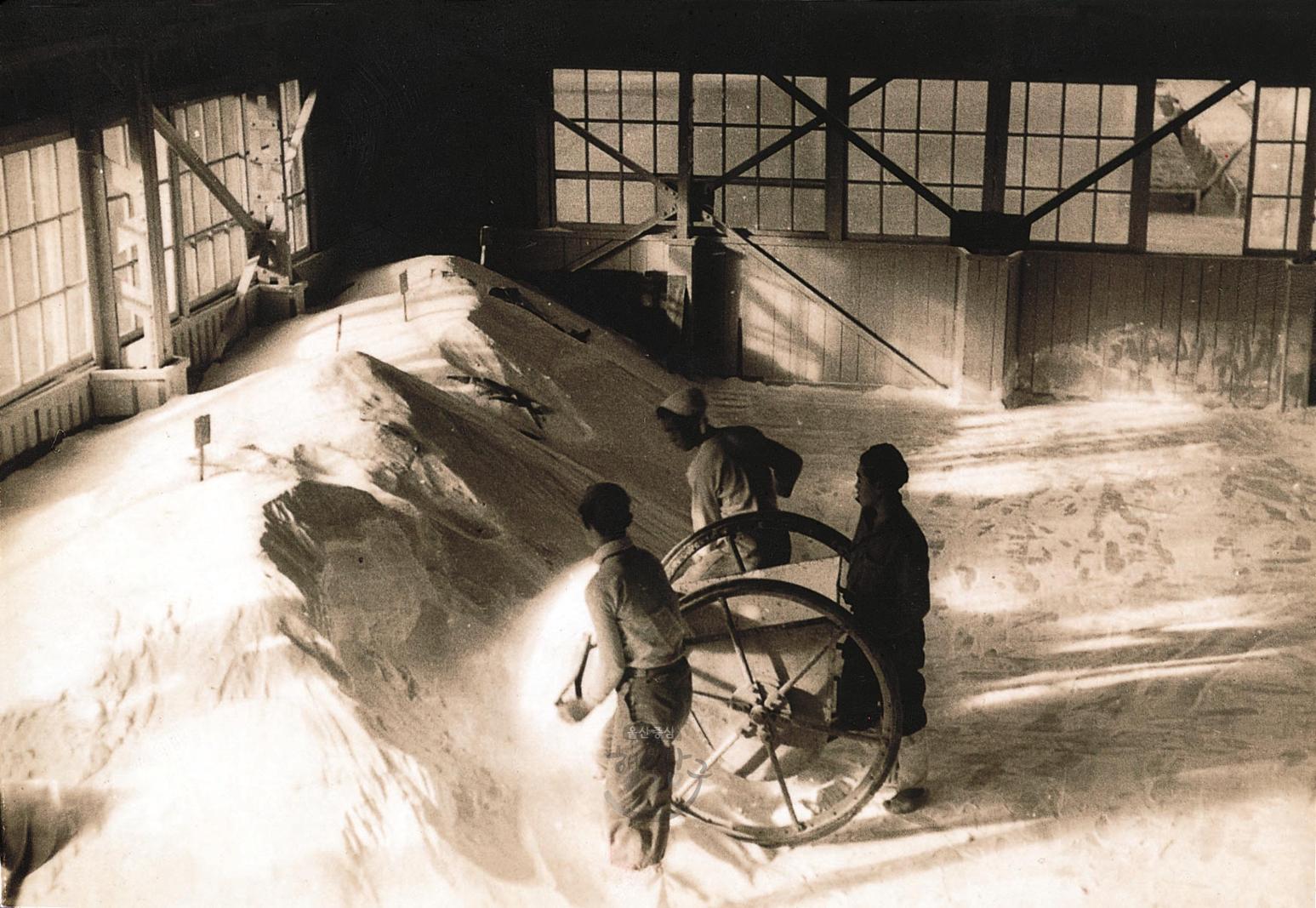삼양사 울산공장 전경(1957년) 의 사진