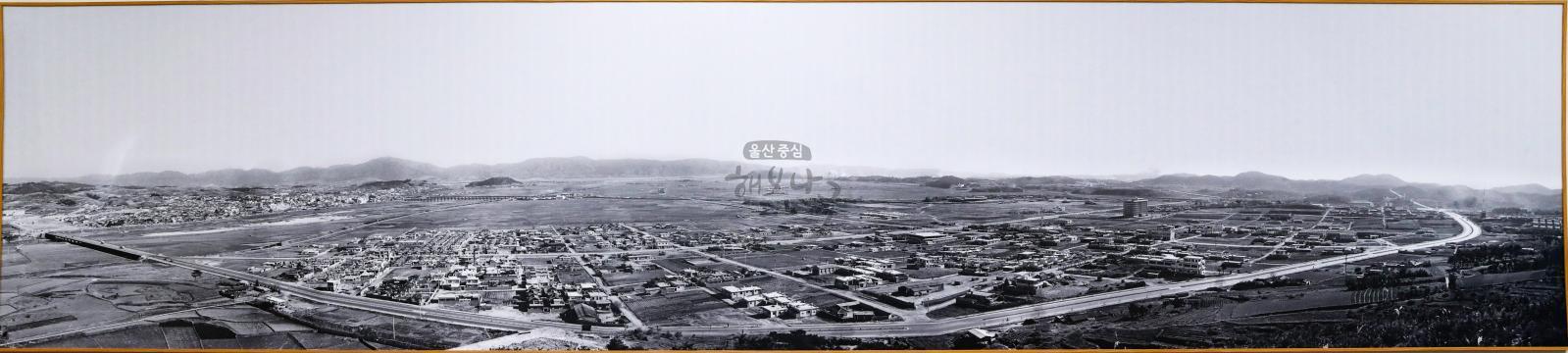 남산에서 본 남구시가지(1970년대) 의 사진