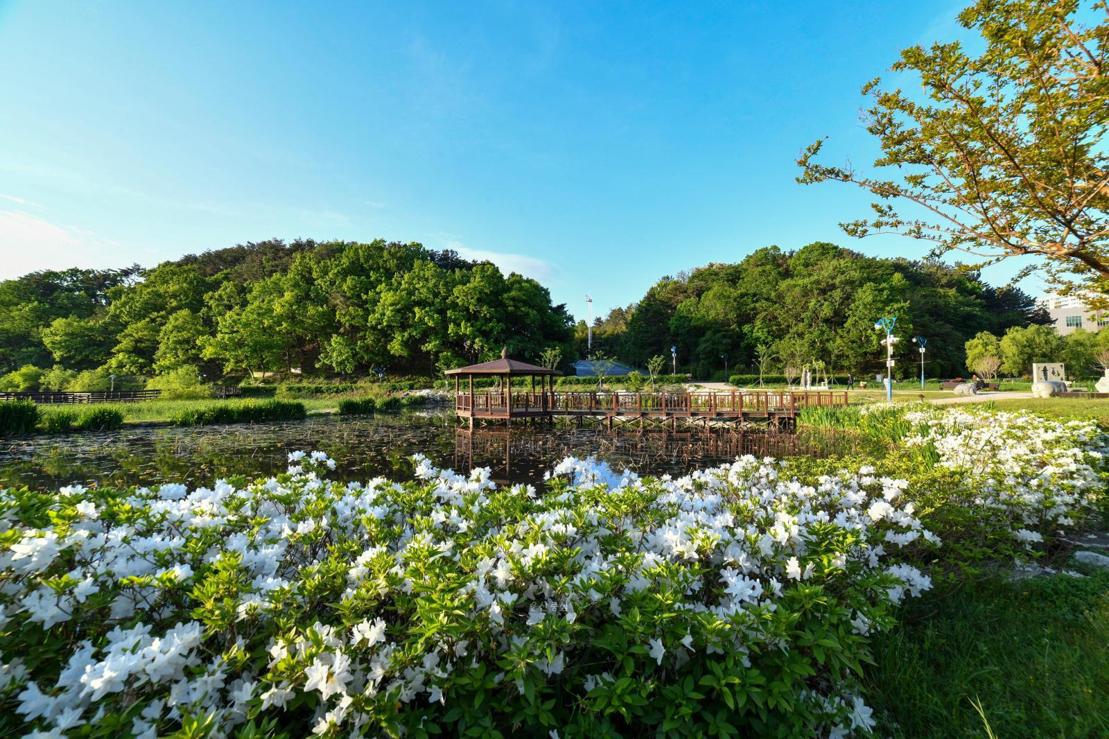 선암호수공원(제2연꽃지) - 울남9경 의 사진