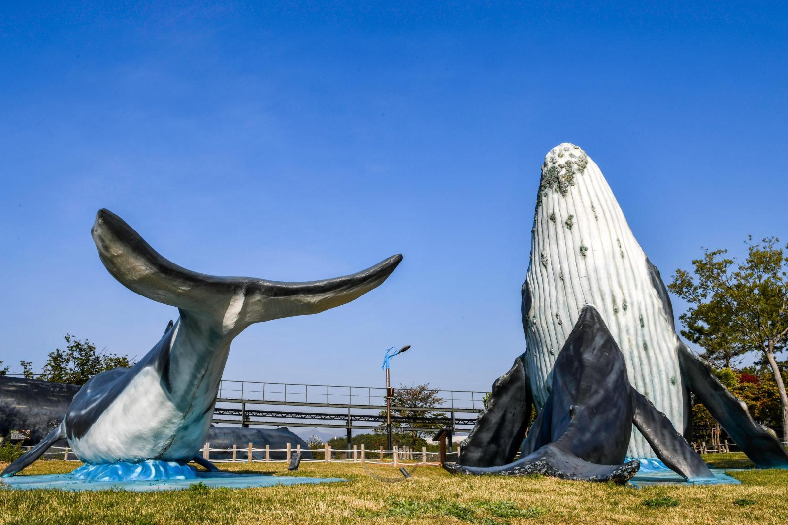 고래조각공원(고래문화마을) 의 사진
