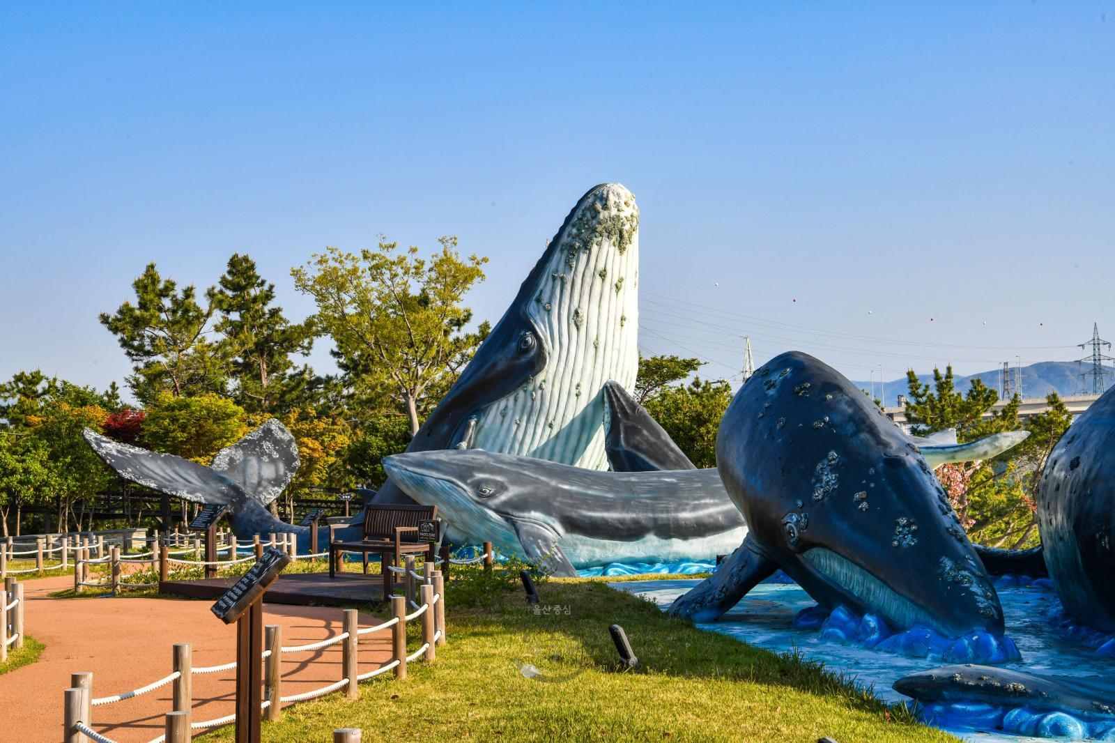 고래조각공원(고래문화마을) 의 사진