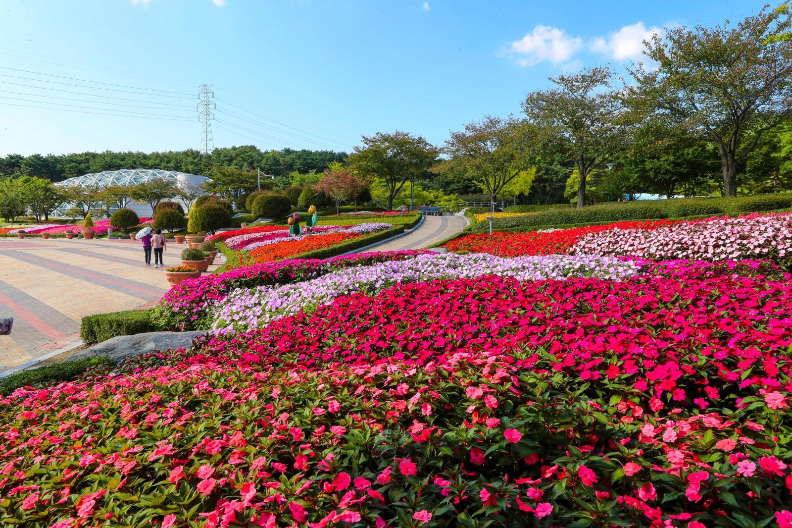 울산대공원 사계절꽃밭 의 사진