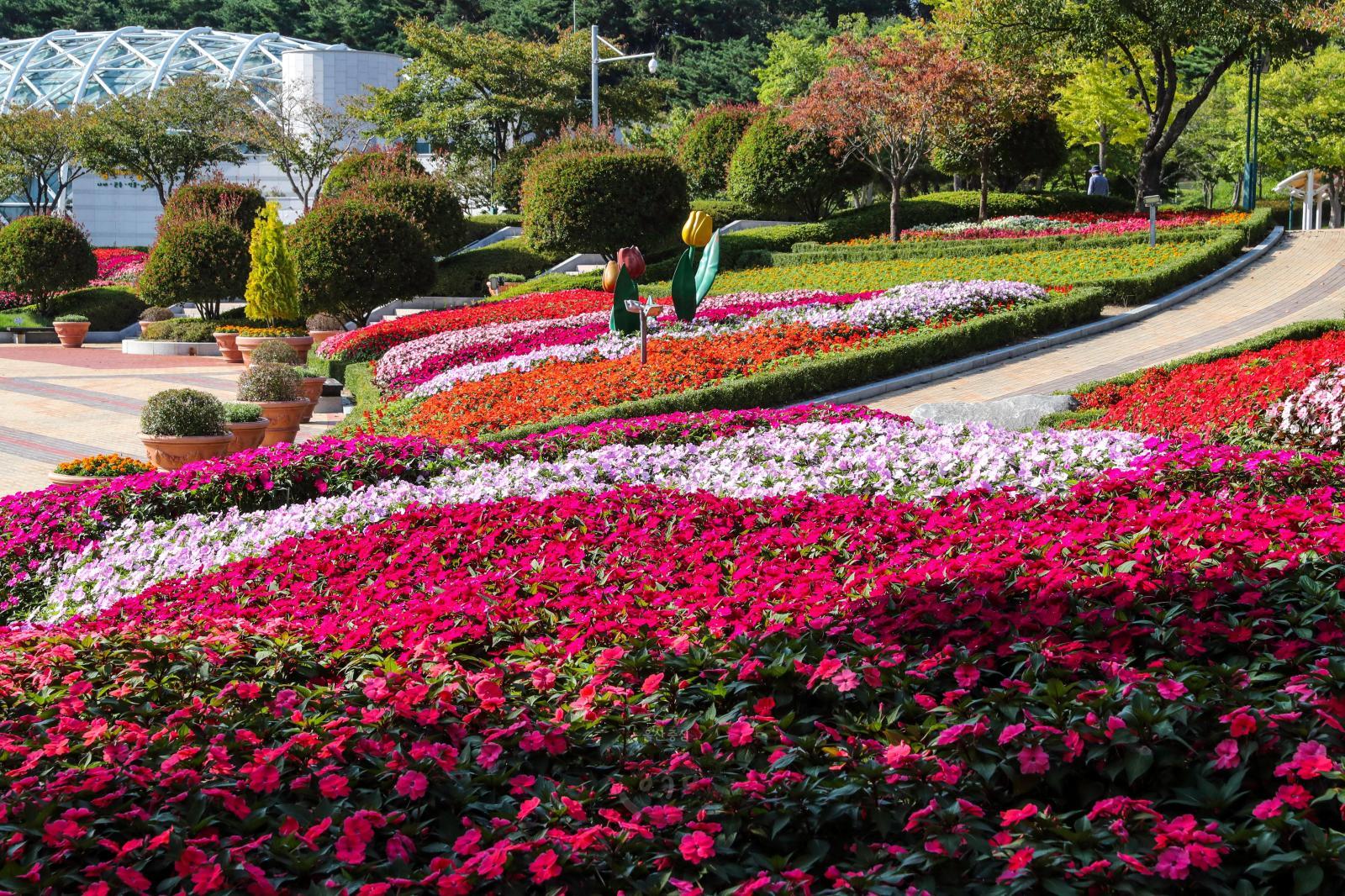 울산대공원 사계절꽃밭 의 사진