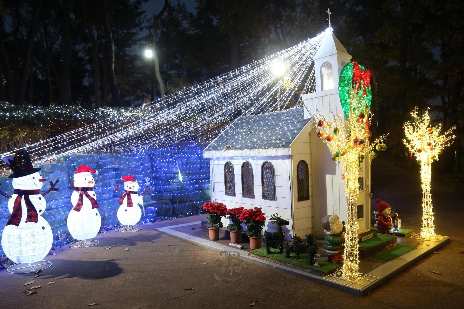 선암호수공원 크리스마스 트리 점등행사 의 사진