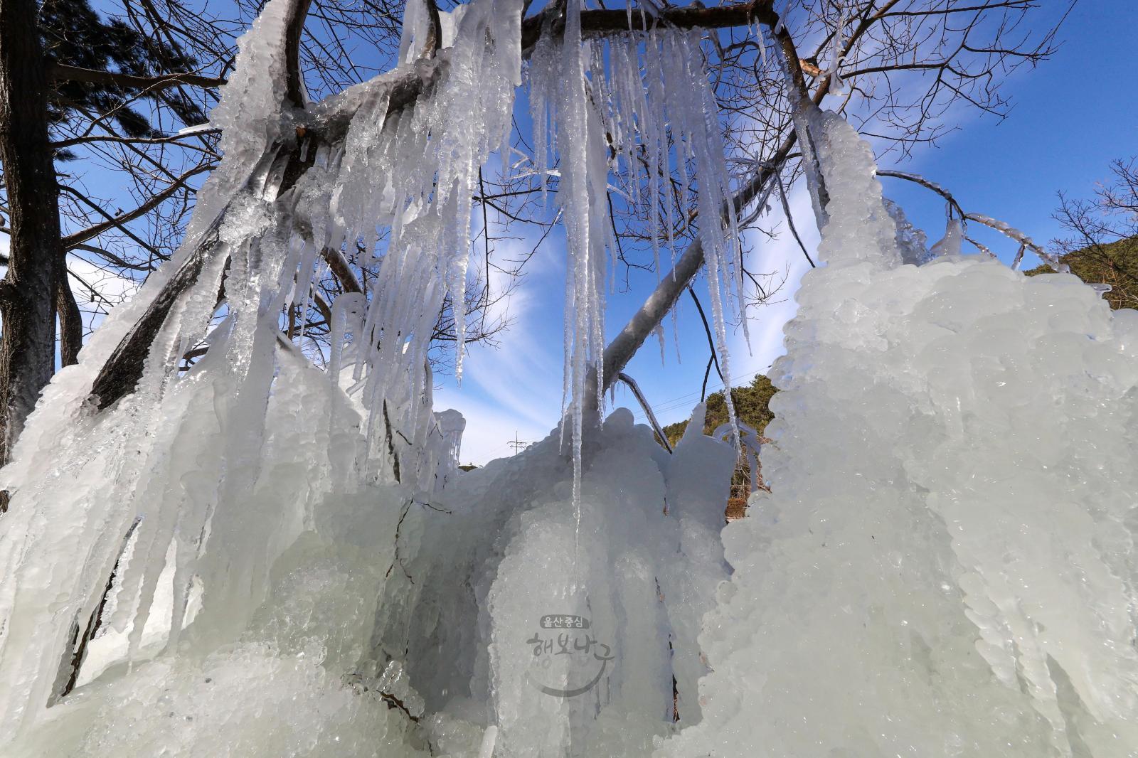 얼음폭포(선암호수공원) - 울남9경 의 사진