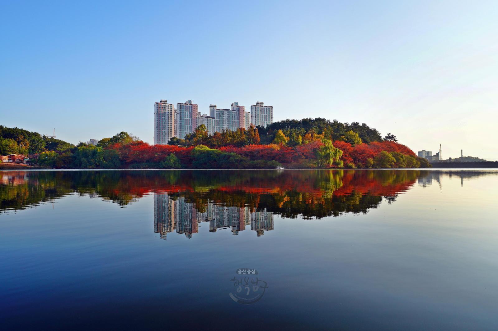2022 [입선]가을의 호수 반영] - 안채영 의 사진