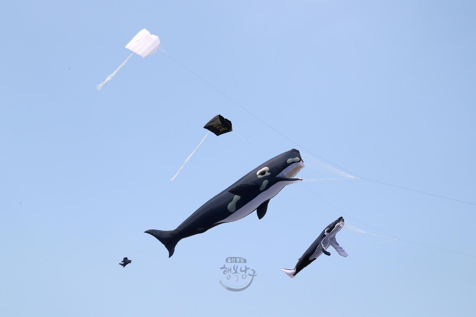 2023 울산고래축제 폐막식, 장생이수상쇼 의 사진