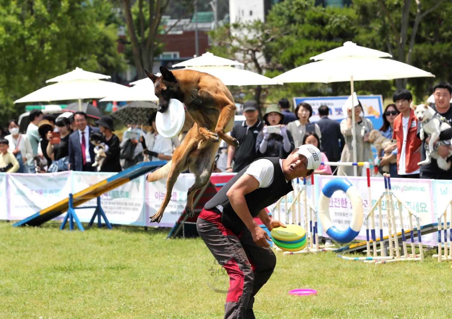 2023 울산남구 반려동물축제 의 사진