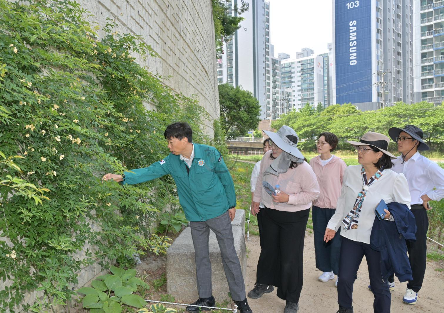 1사 1하천 살리기 도시환경정비 의 사진