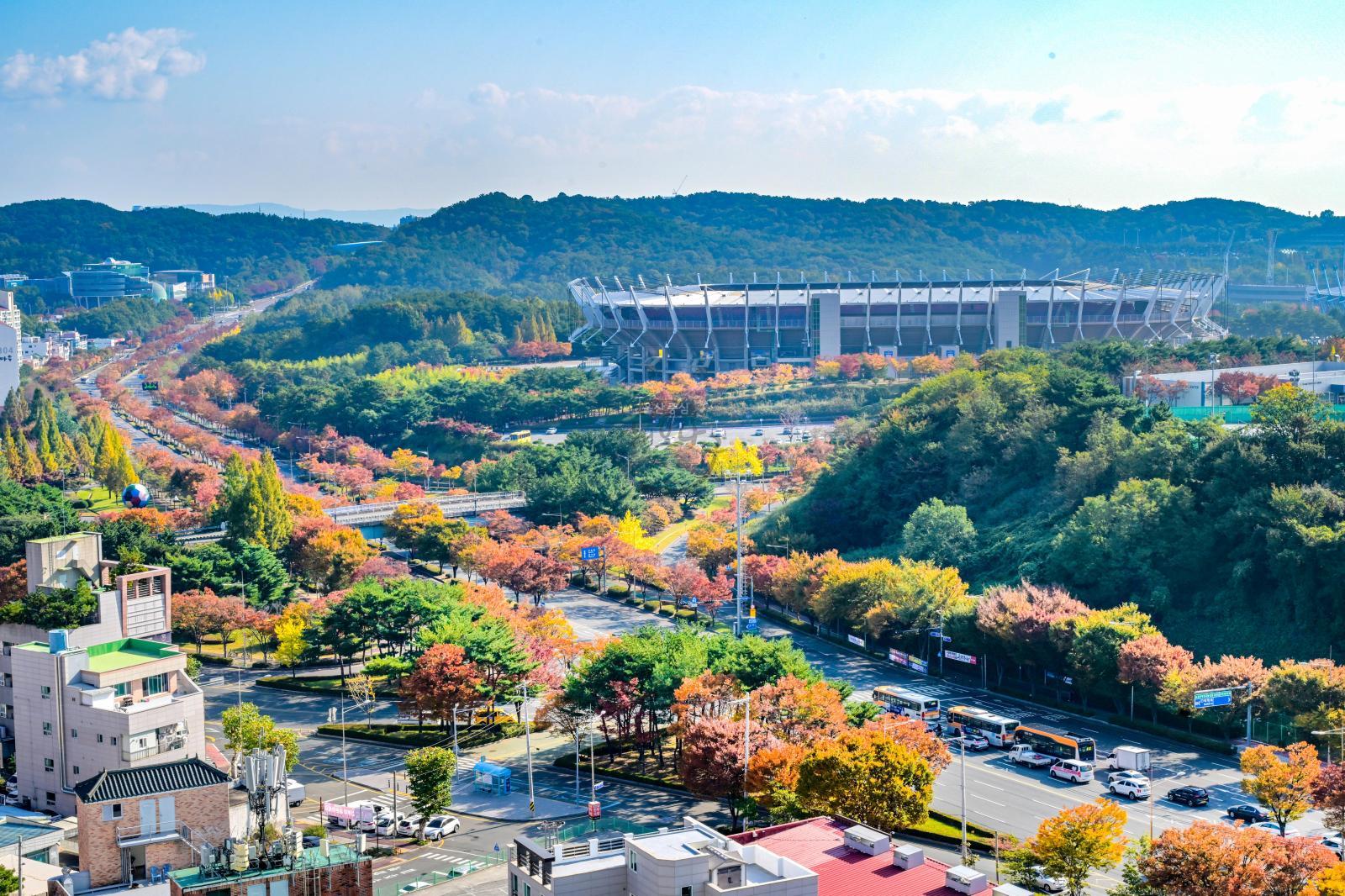 울산체육공원 가을단풍 - 울남9경 의 사진