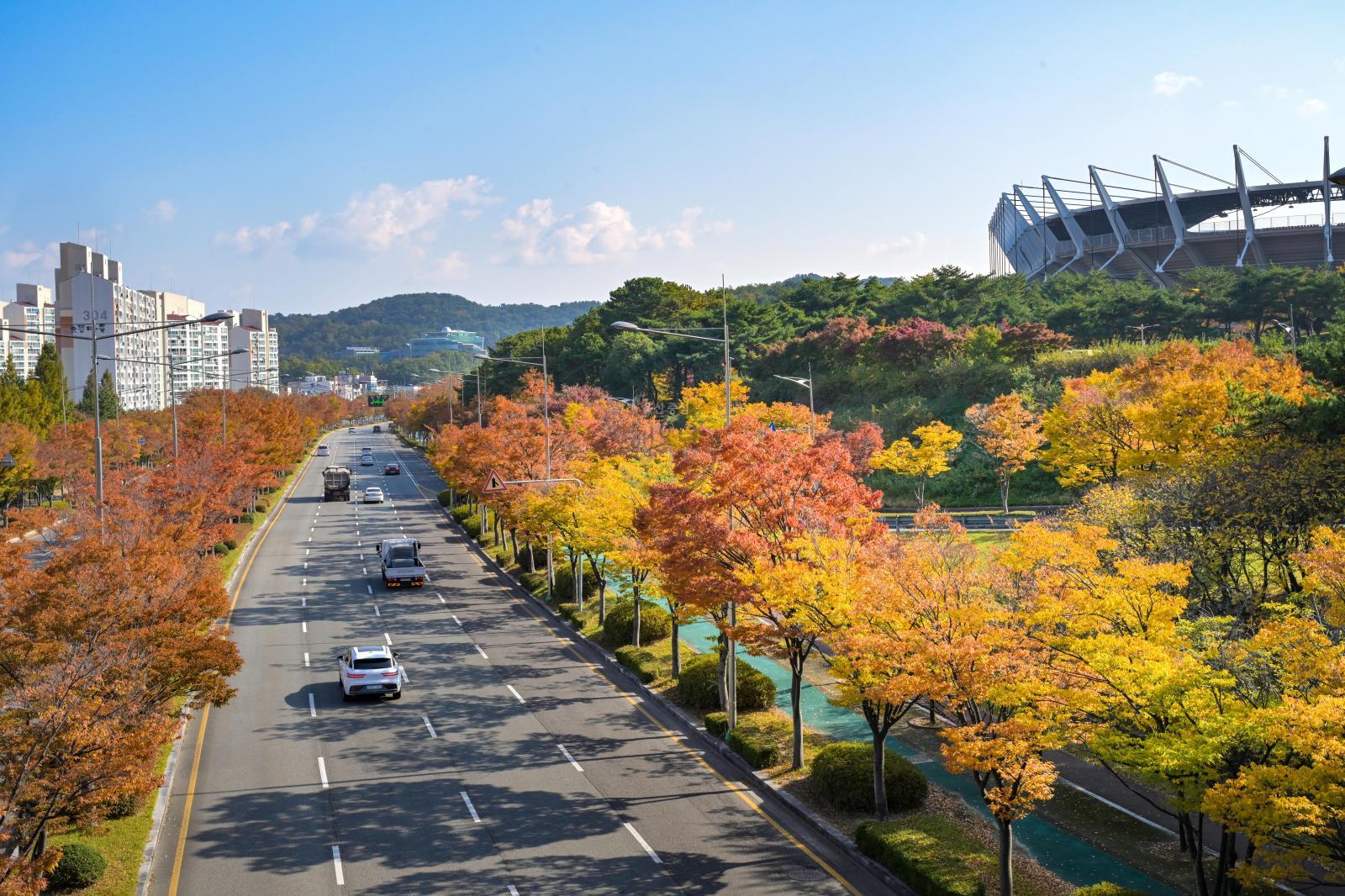 울산체육공원 가을단풍 - 울남9경 의 사진