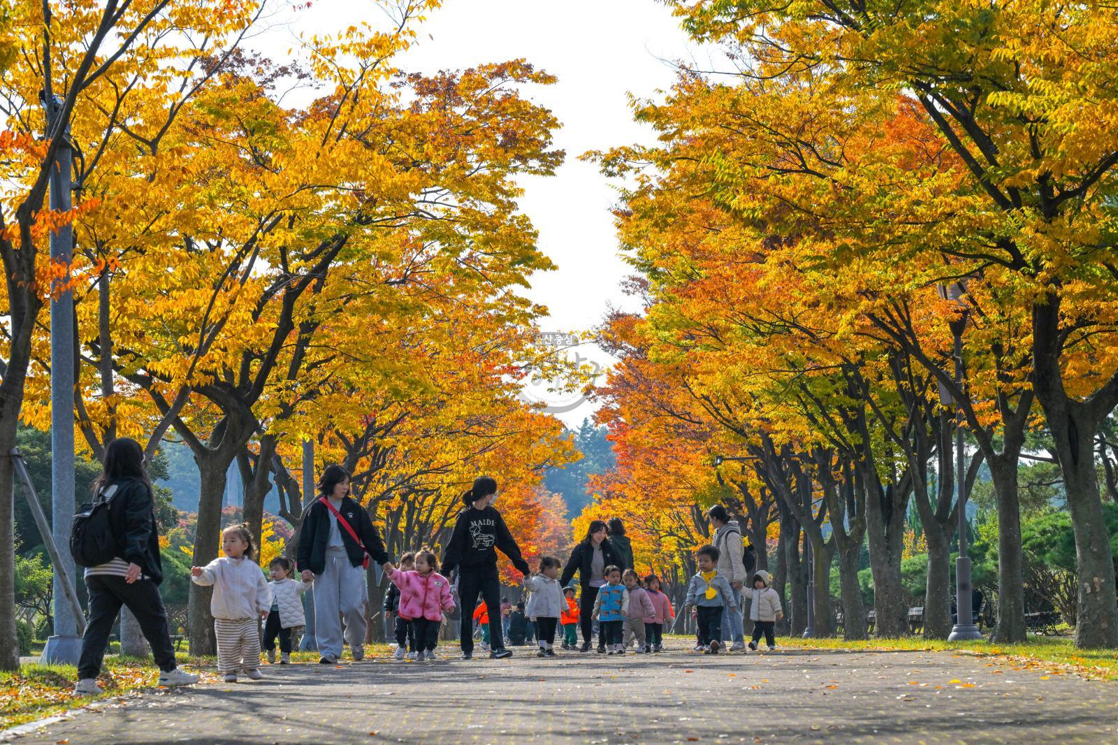 울산체육공원 가을단풍 - 울남9경 의 사진