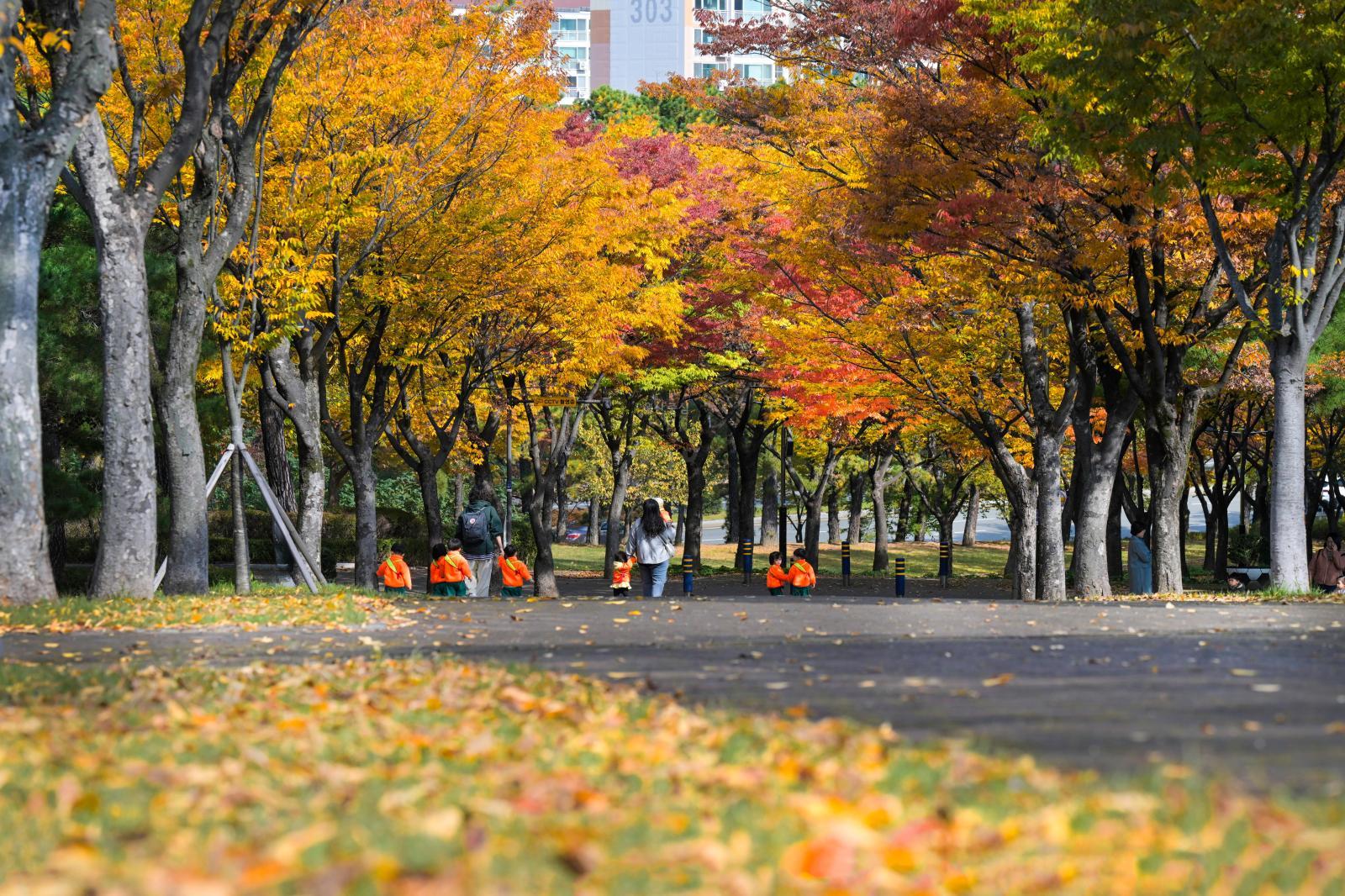 울산체육공원 가을단풍 - 울남9경 의 사진