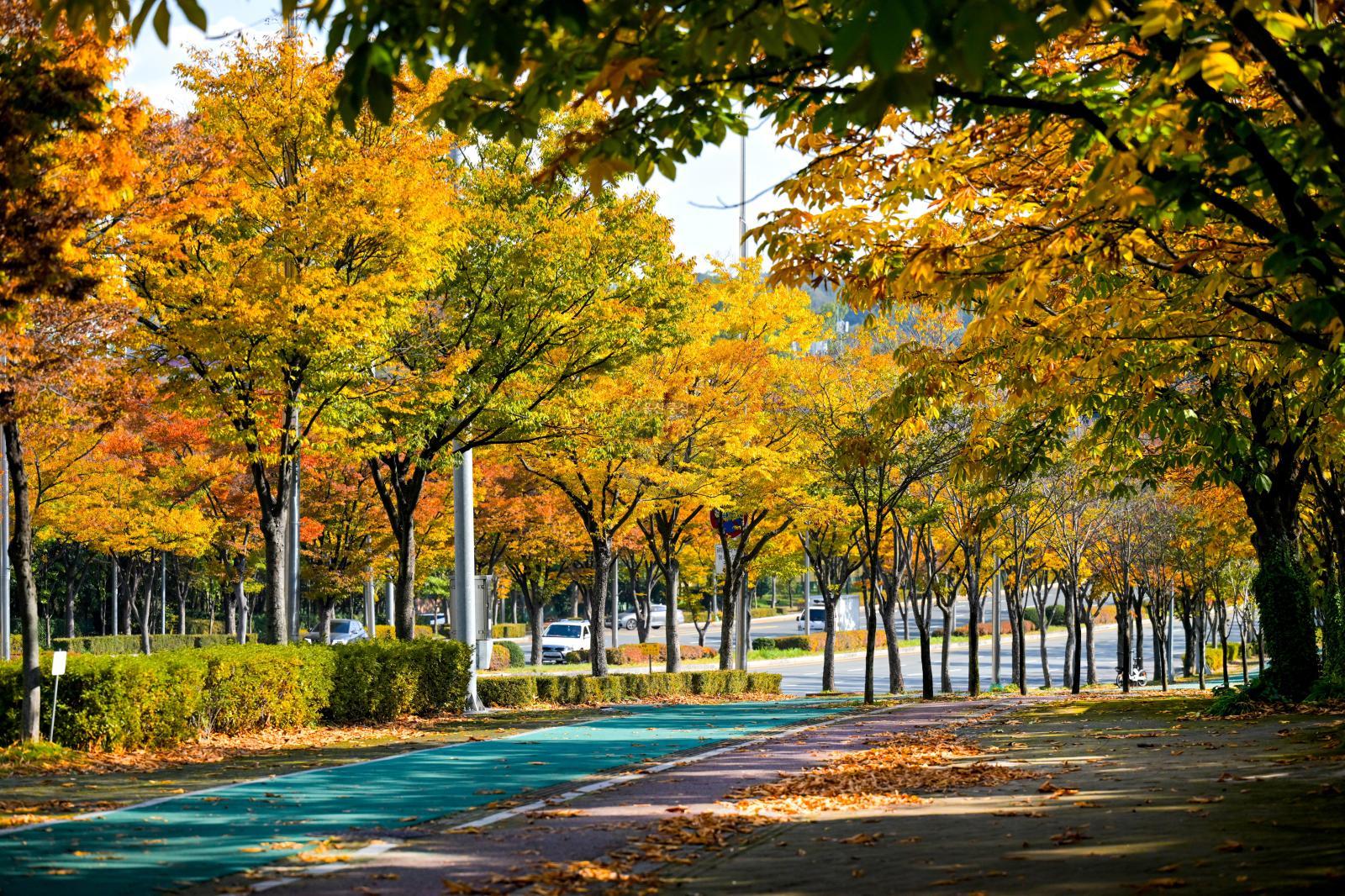 울산체육공원 가을단풍 - 울남9경 의 사진