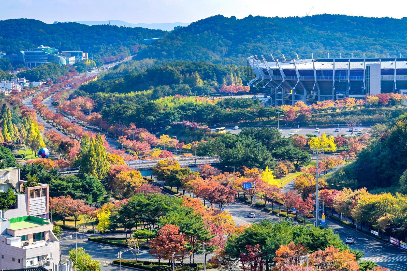 울산체육공원 가을단풍 - 울남9경 의 사진