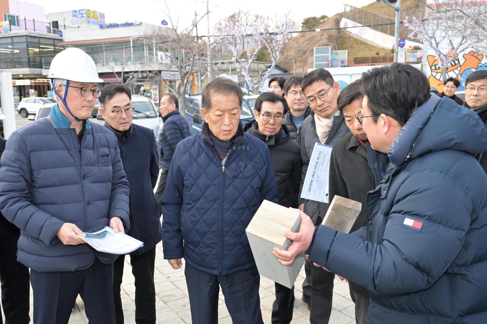 The Wave사업 현장 점검 (코스터카트, 고래등길, The Wave사업) 의 사진