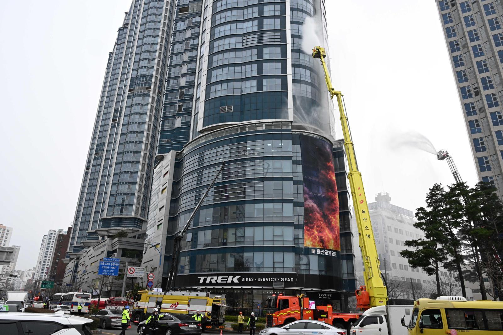 레디코리아훈련 의 사진