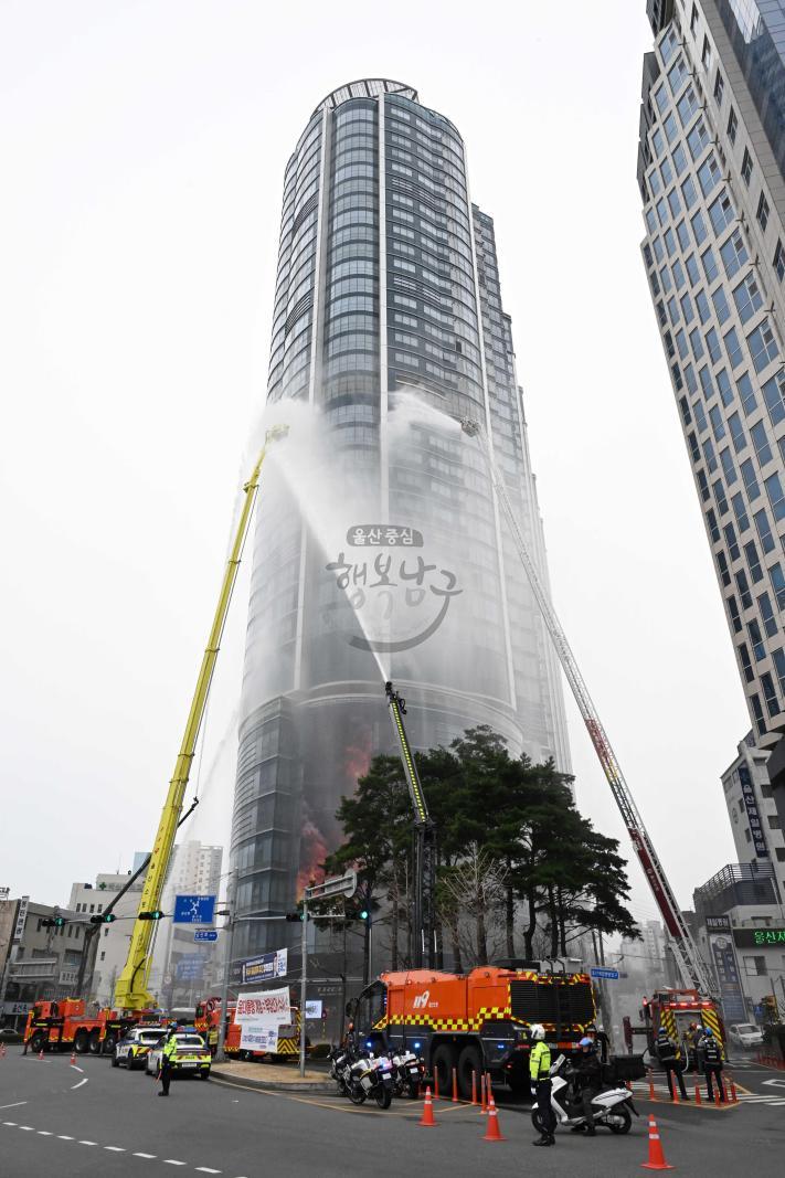 레디코리아훈련 의 사진