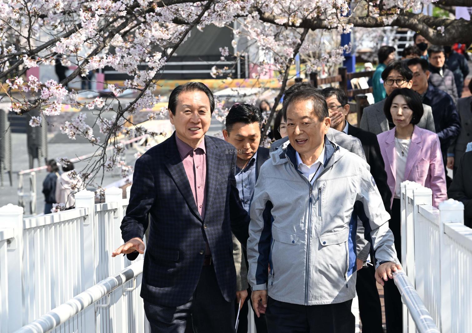 궁거랑 벚꽃한마당 현장 점검 의 사진