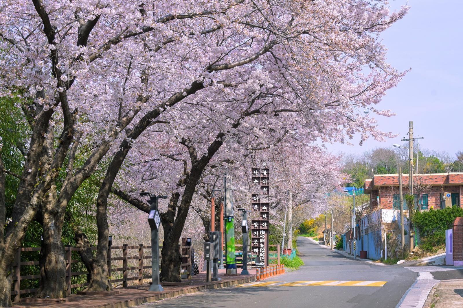 장생포 벚꽃길(장생옛길) 의 사진