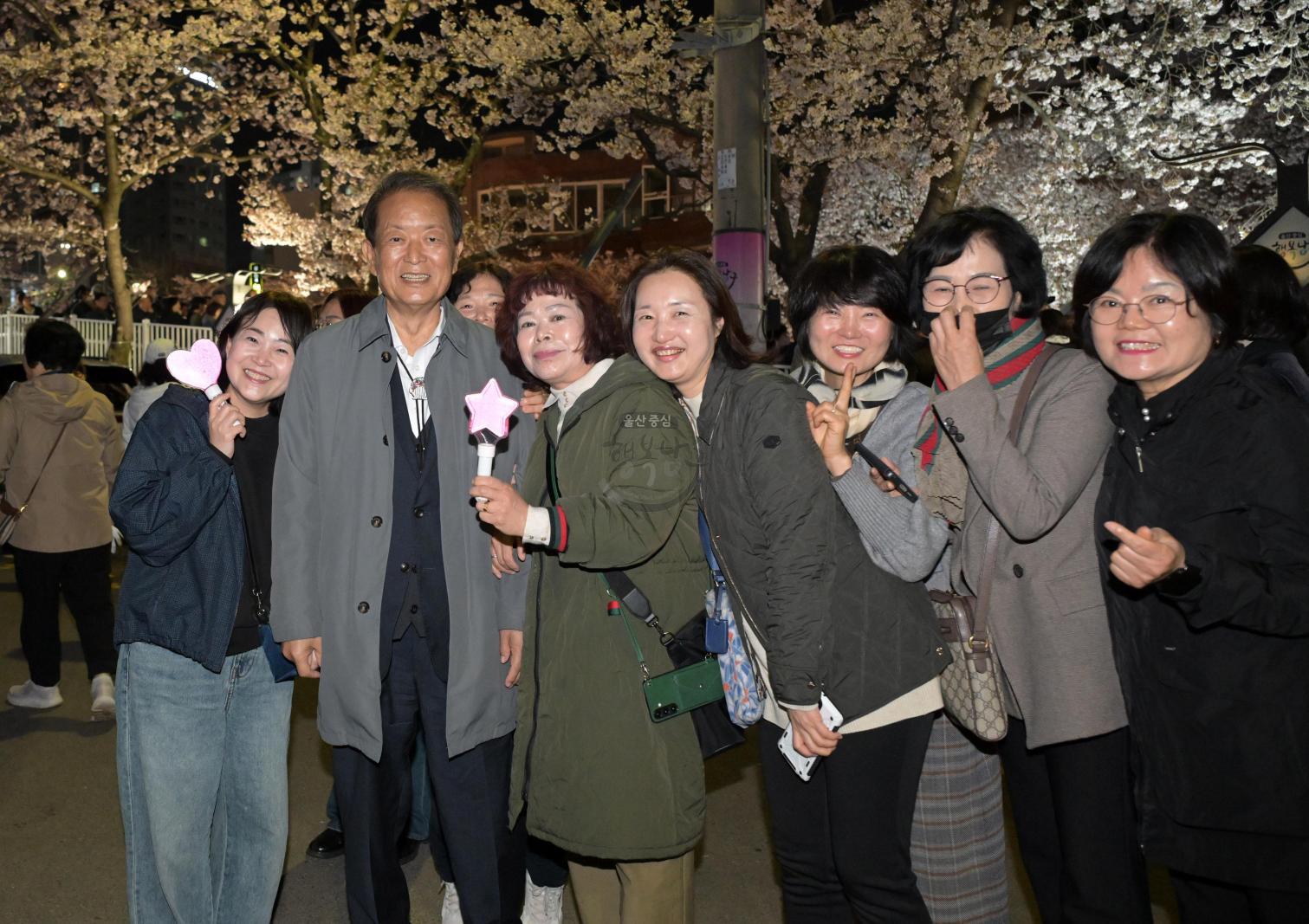 제15회 궁거랑 벚꽃 한마당 의 사진