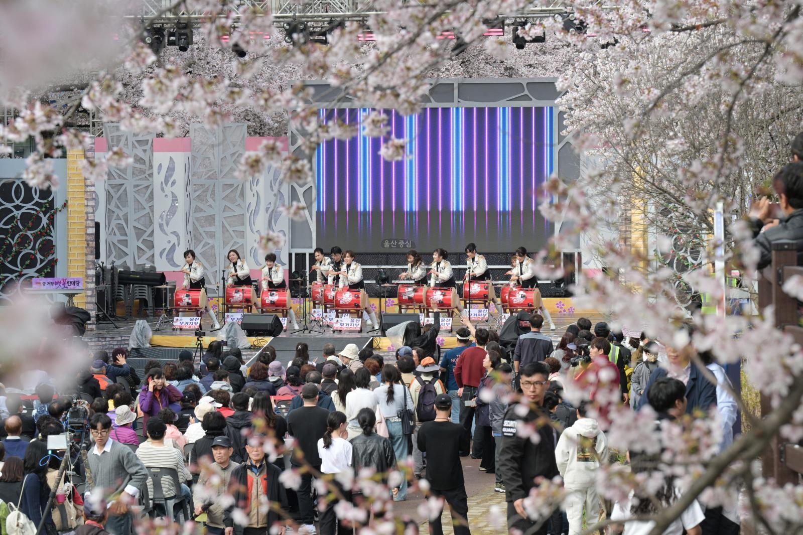 제15회 궁거랑 벚꽃 한마당 의 사진