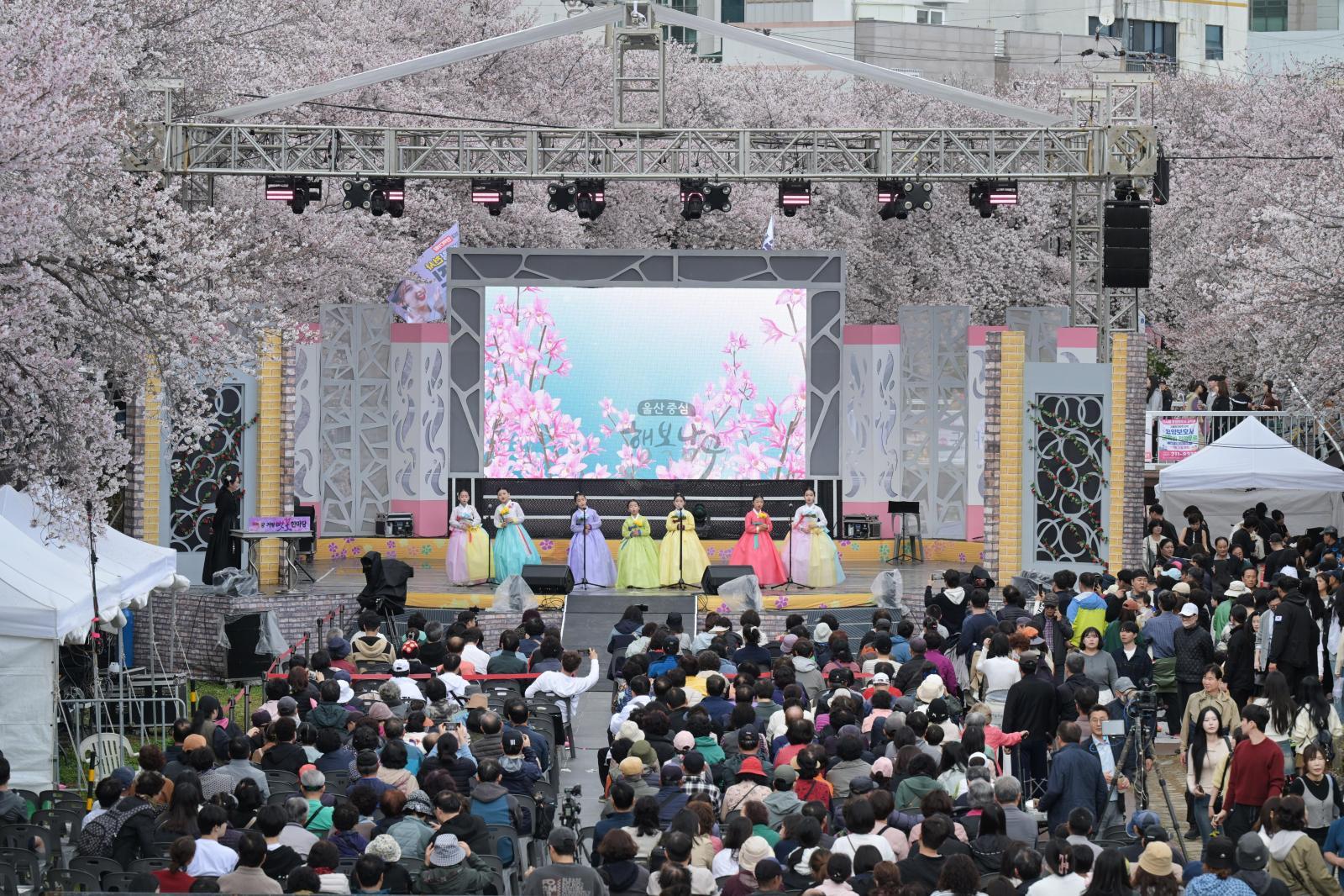 제15회 궁거랑 벚꽃 한마당 의 사진