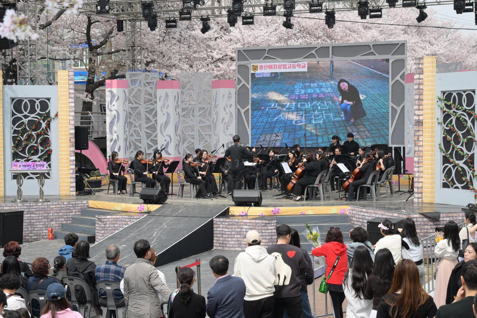 제15회 궁거랑 벚꽃 한마당 의 사진